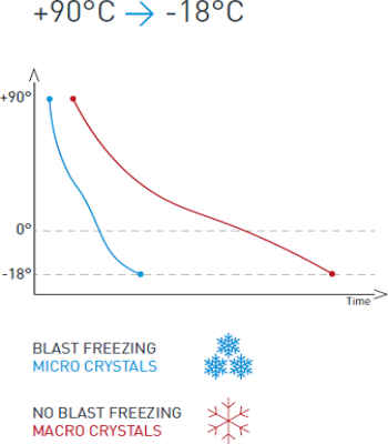 blast-freezing-sokove_mrazenie